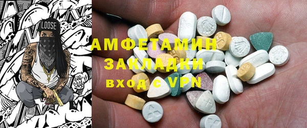 индика Абаза