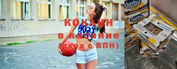 индика Абаза